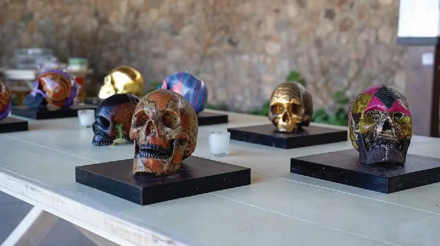 Cráneos, imagen principal de la colección origen